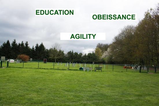 education-agility-obeissance.jpg