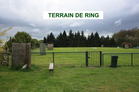 terrain-ring.jpg